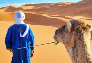 Image representing Camel Ride