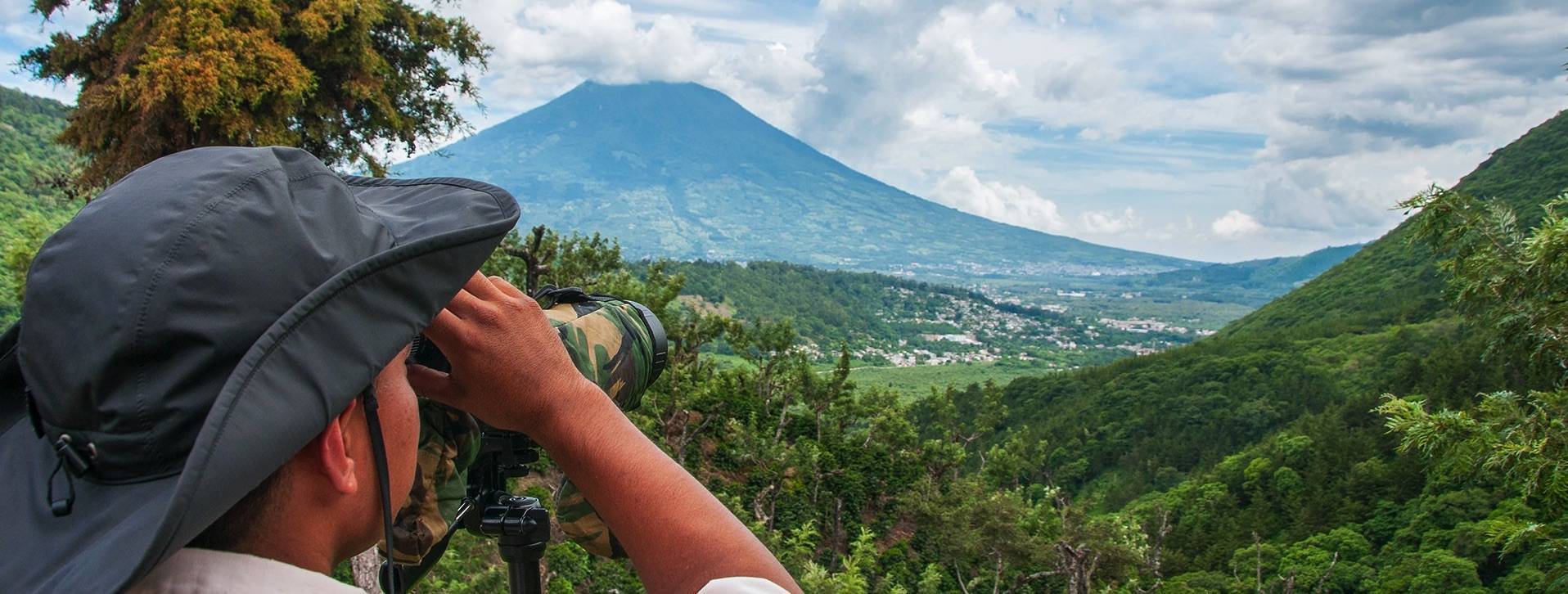 Image representing Wildlife & Eco Tourism