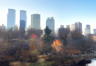 Image representing United States