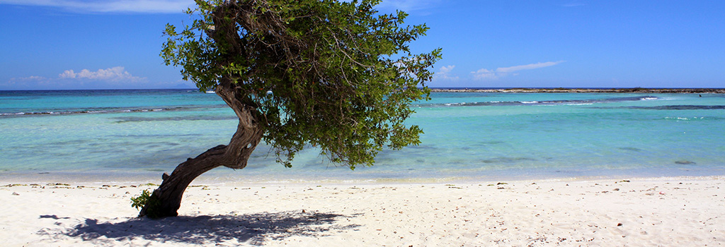 Aruba