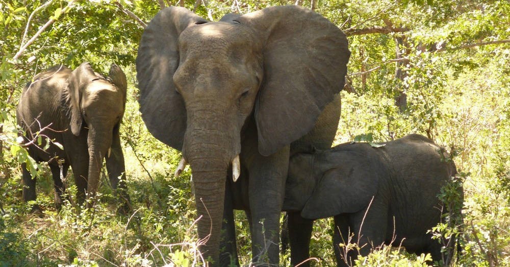 Botswana