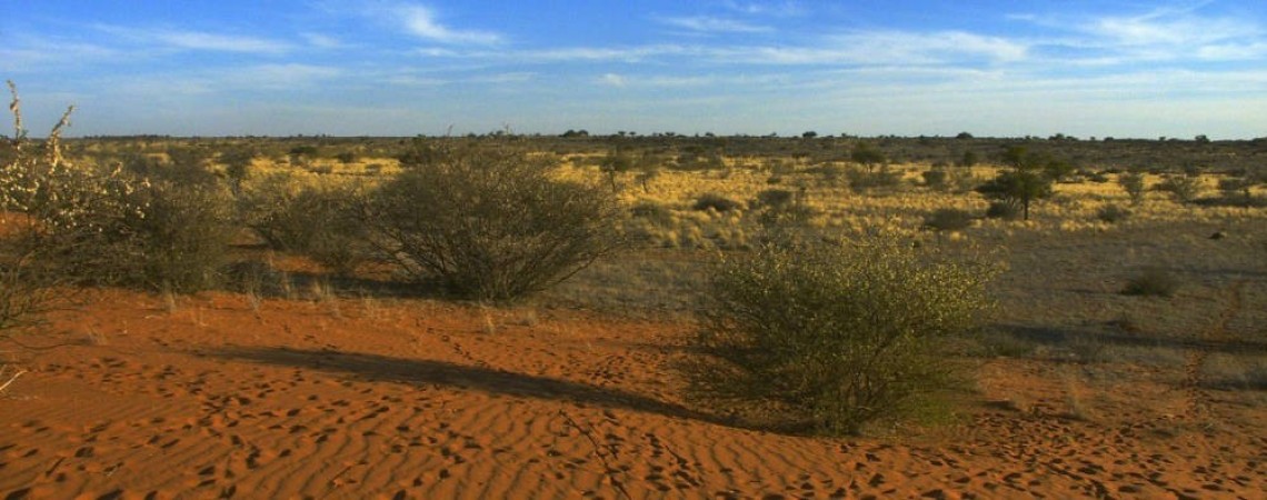 this image is related to Southern Africa
