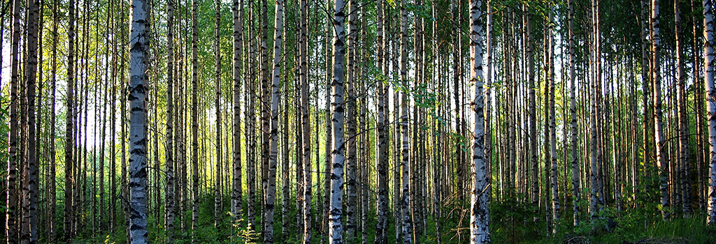 Finland