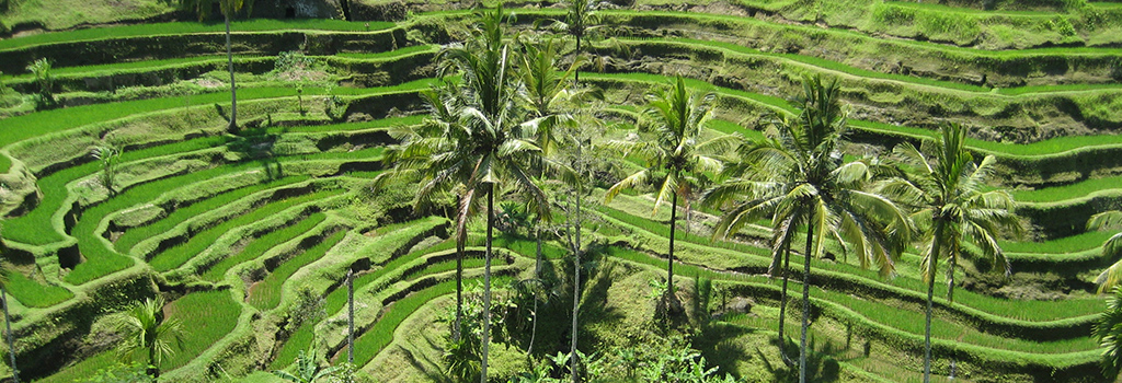 Indonesia