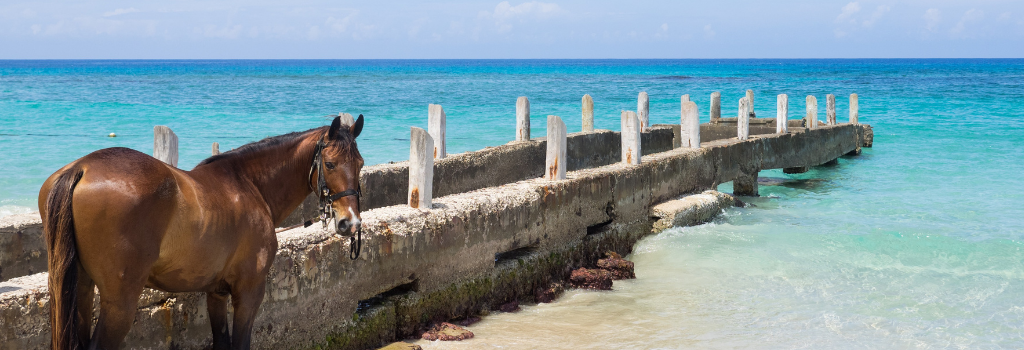 Jamaica