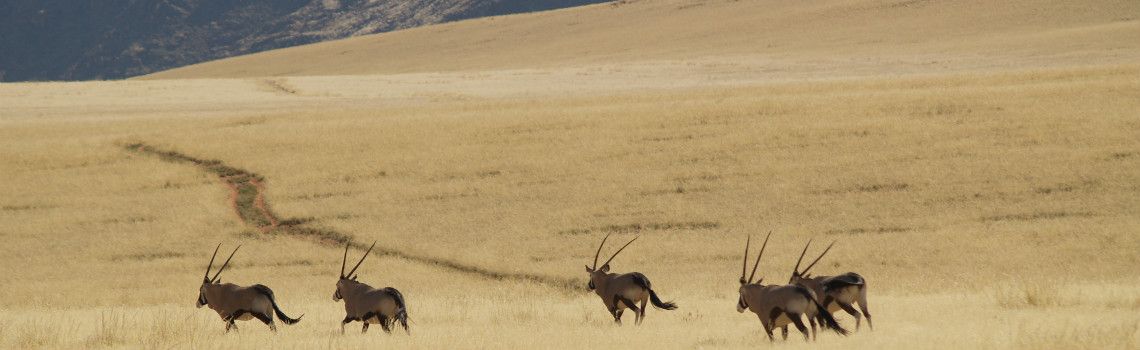 Namibia