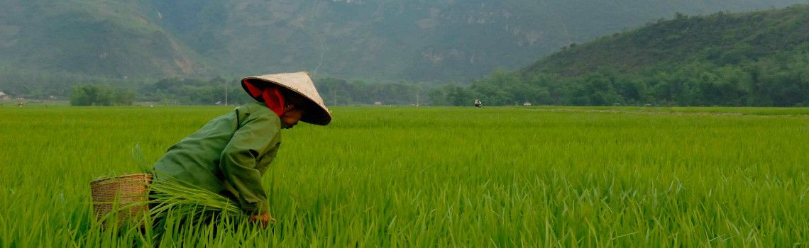 Vietnam